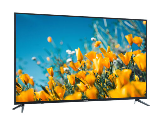 Màn hình Arirang 100 inch